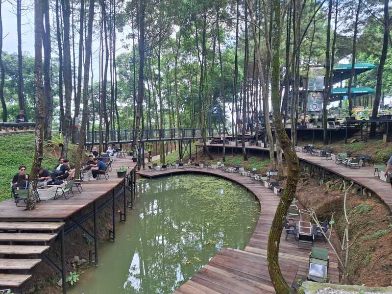 Warisan Kopi di tengah hutan pinus sentul kabupaten bogor