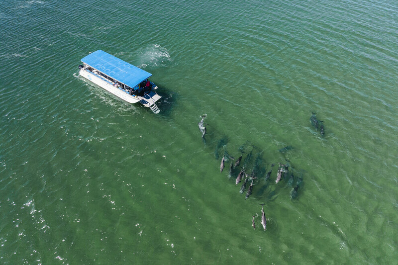 Dolphin Discovery Centre di Bunbury South Western Australia