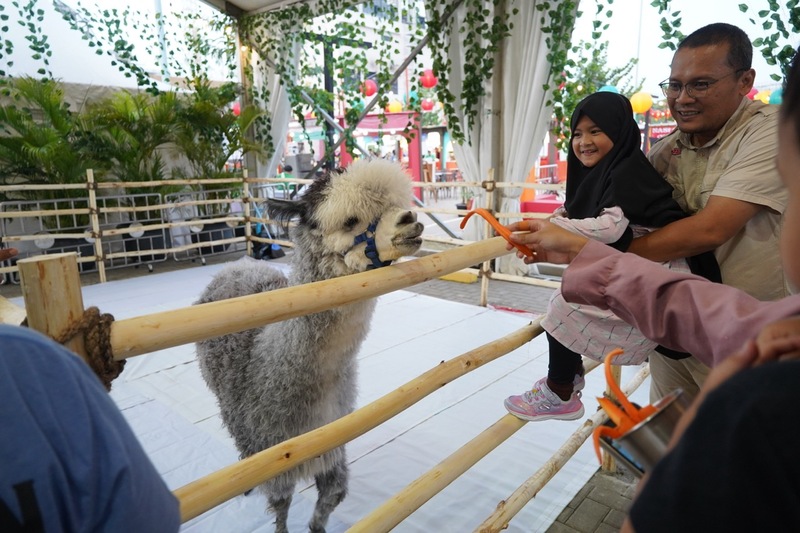 Animal Show