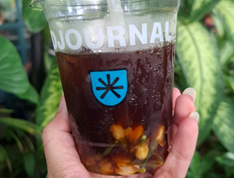 Jasmine Cold Brew Djournal Coffee